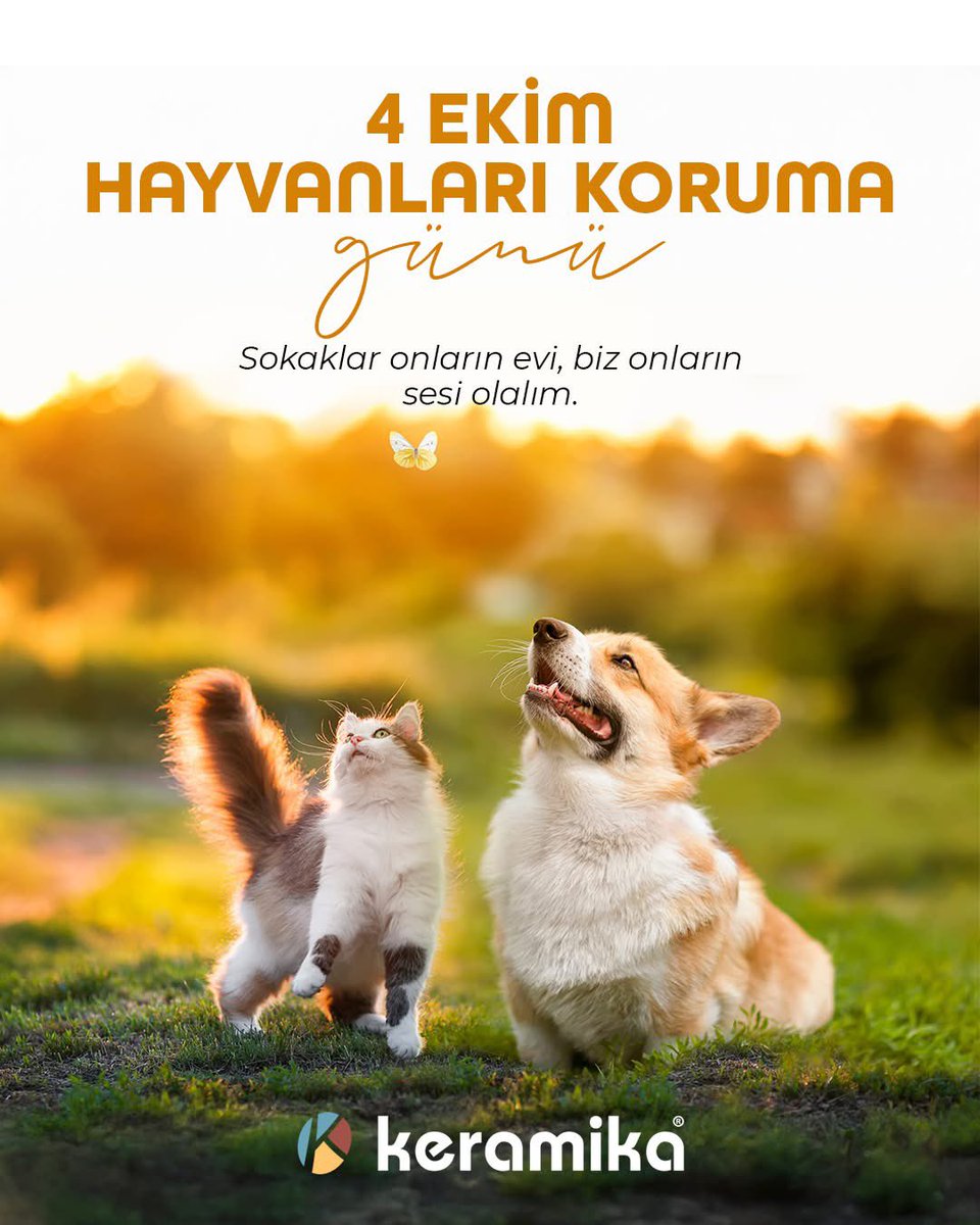 Bugün, sessiz dostlarımızın sesi olma günü. Sokak hayvanlarına sevgi, mama ve bir damla suyla destek olalım. Unutmayalım, onlar da bu dünyanın bir parçası. 💛🐾

#SokakHayvanlarınıKoruyalım #BirKapMama #CanDostlarımız