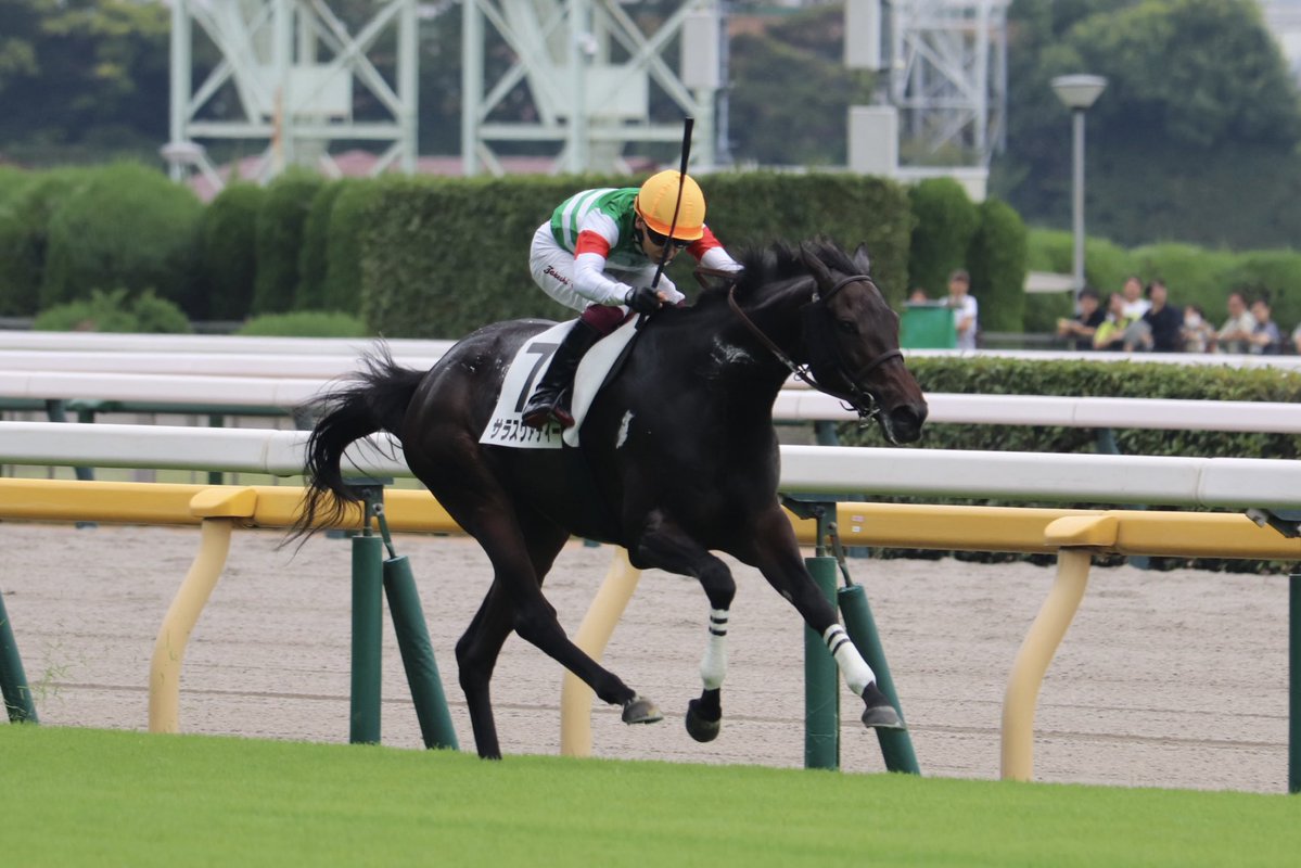 ushi_keiba42195's tweet image. 25.10.4 東京7R
サラスヴァティー

レイデオロ牝馬は……などと言われていた(今も言われてる？)時に出資した仔なので喜びもひとしおです☺️
関係者の皆様ありがとうございました
#サラスヴァティー
#横山武史騎手
#森一誠厩舎
#キャロットクラブ