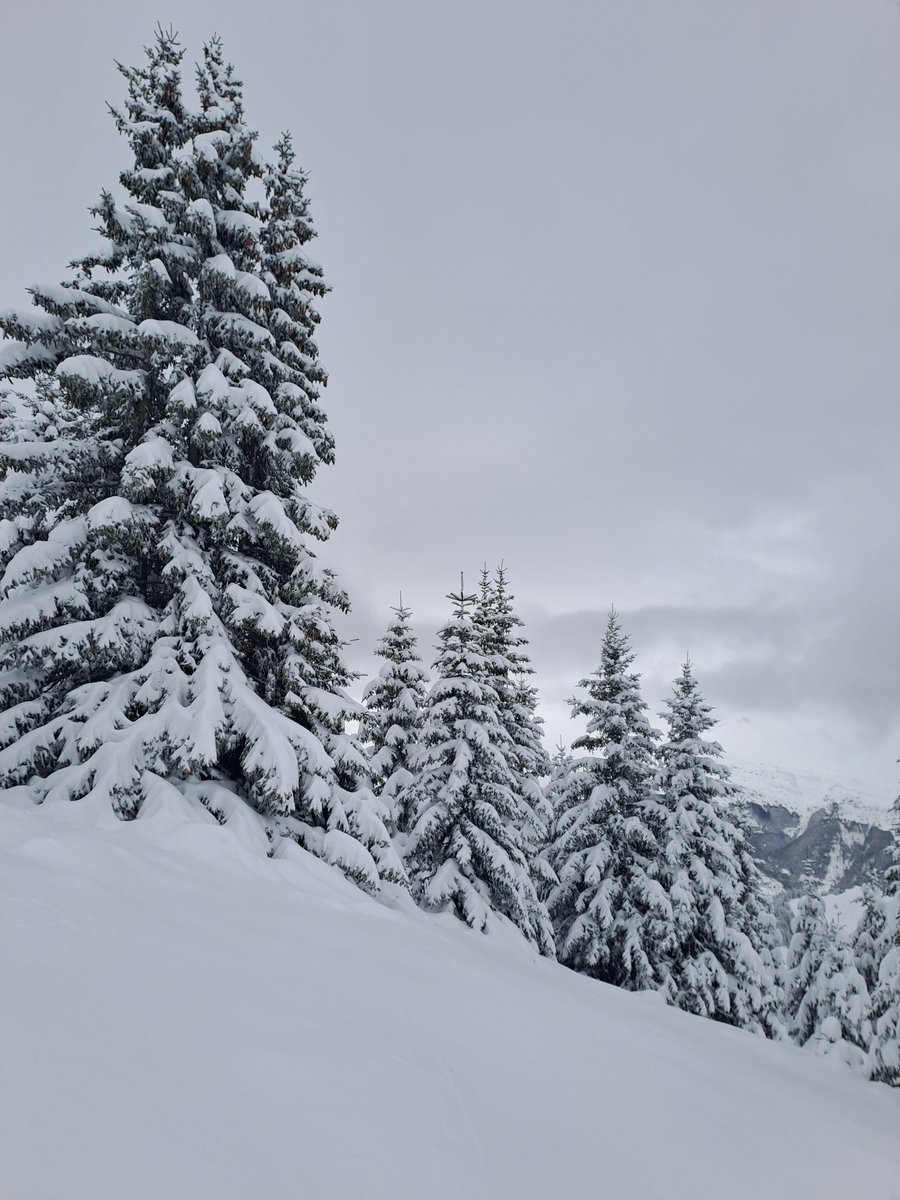 _strshlen's tweet image. Shar Planina
Ski sezona oficijalno otvorena