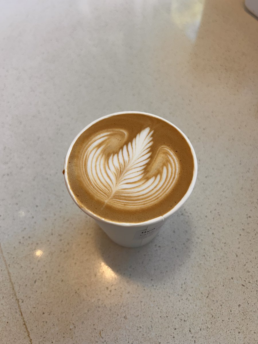 Reign Austen tweet media