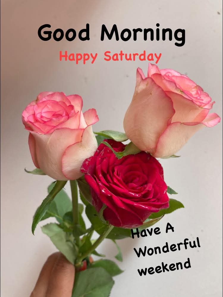 VolschenkGerna's tweet photo. #Goodmorning #Family and #Friends across the world 🌎 Have a #Fabulousday #Takecare #Staysafe #StayHealthy God bless you 🙏 Love you all ❤️ #HappySaturday https://t.co/RXy8OJBQ6Z