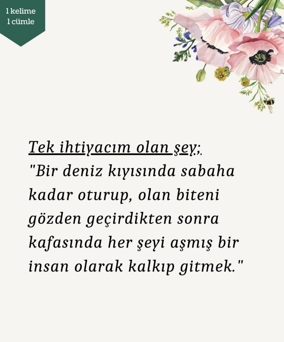 aynen ganze (@gamzeerrol) on Twitter photo 