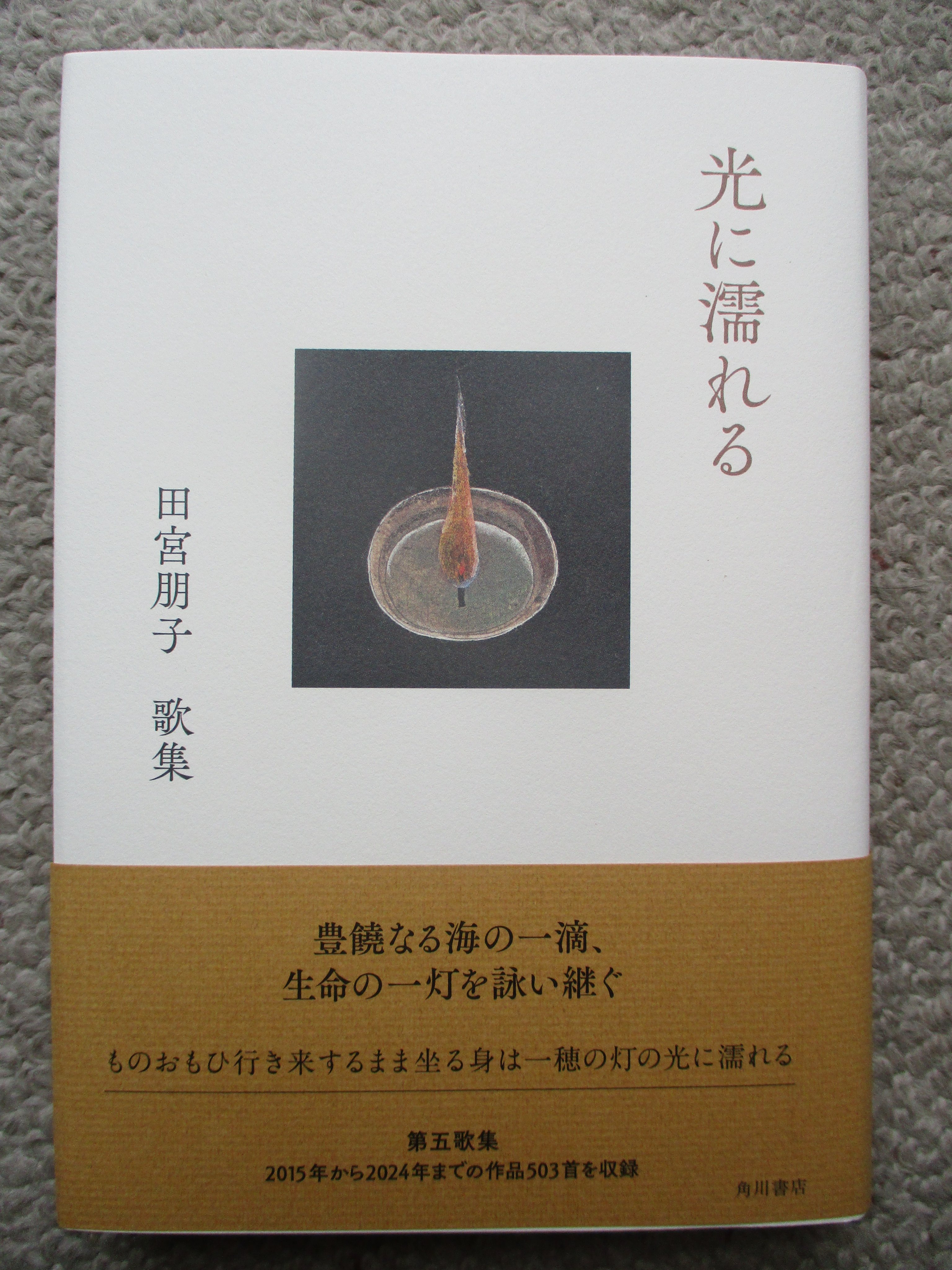 三齢幼虫　奥村晃作歌集 三齢幼虫 奥村晃作歌集 Amazon.co.jp: 奥村晃作歌集 (現代短歌