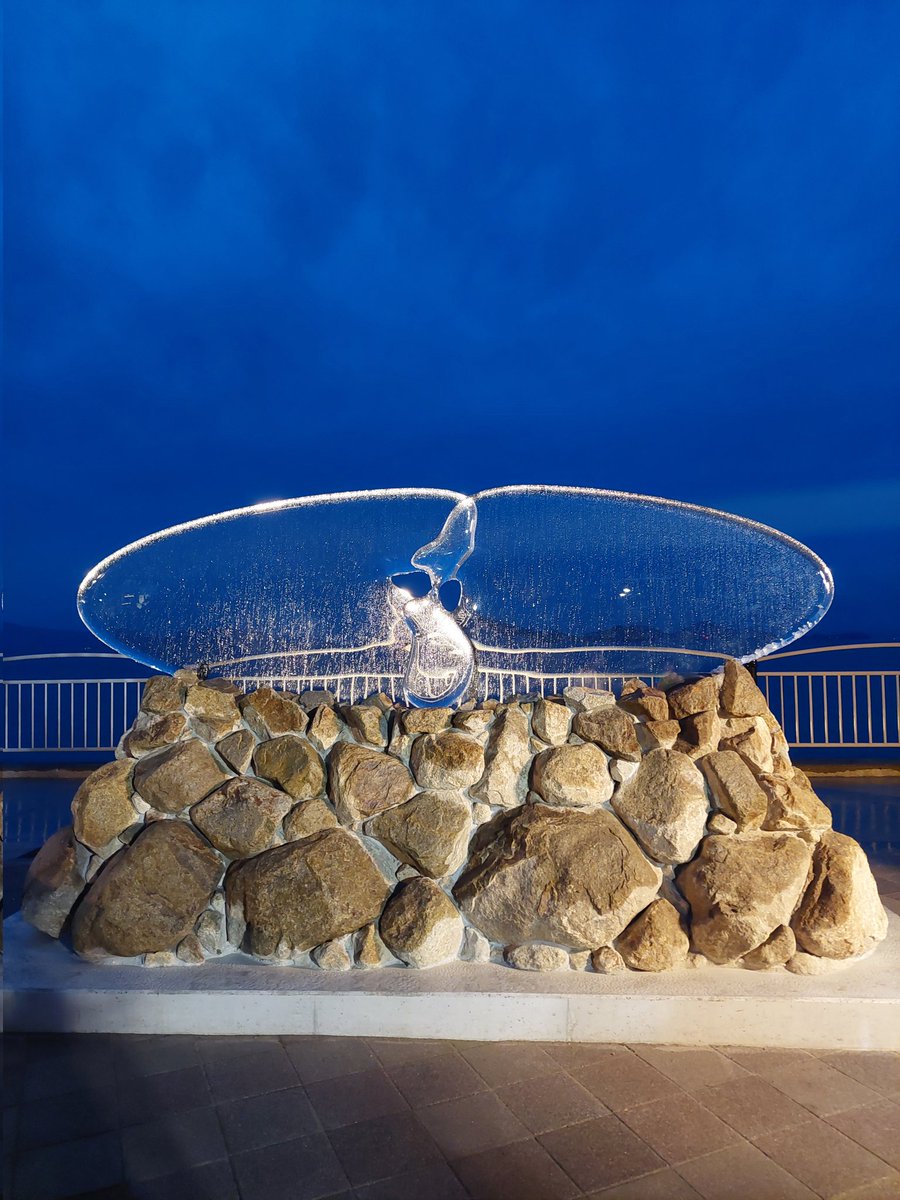 宇多津 エリア 丨秋会期開幕の昨日オープニングセレモニーを開催丨夜8