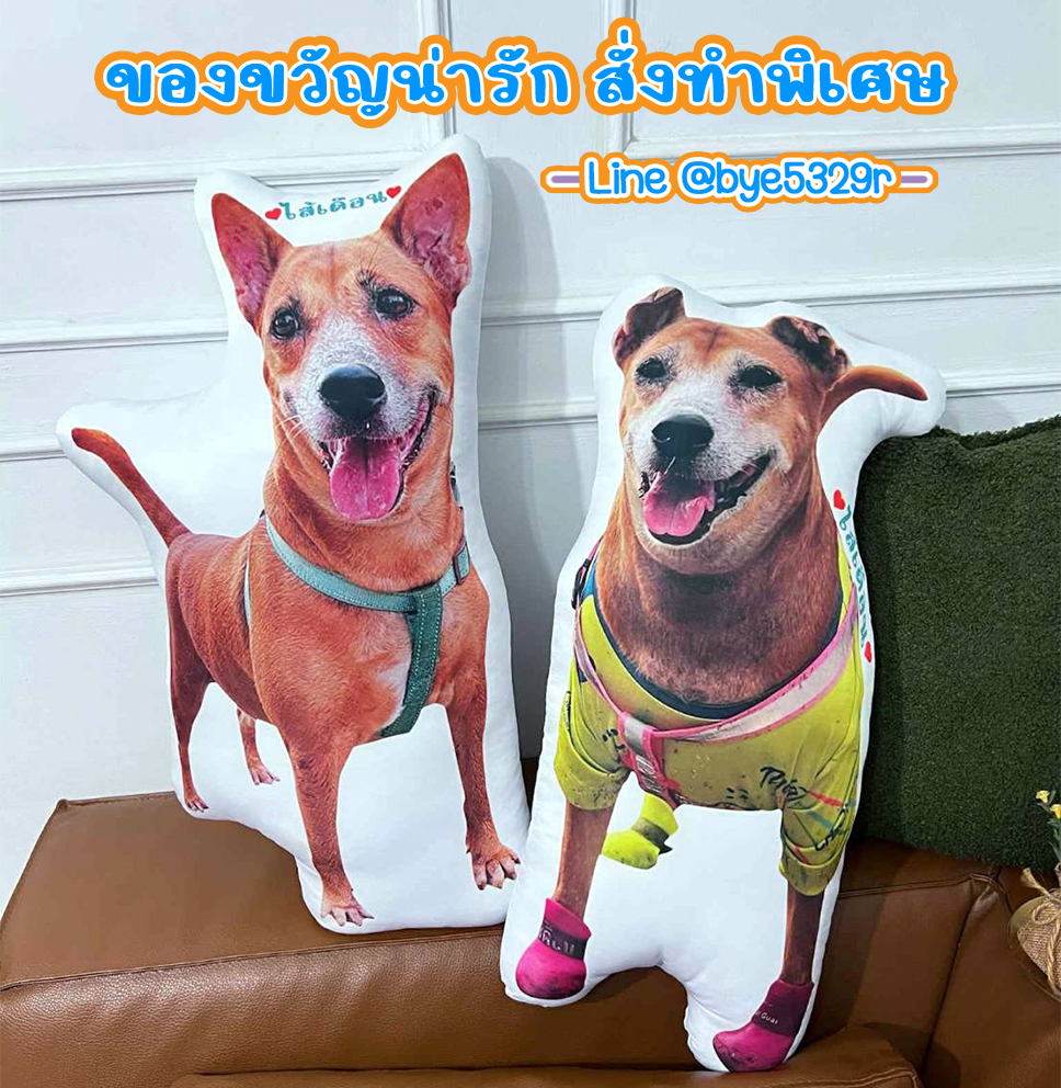 PillowsGift's tweet photo. #หมอนไดคัท พิมพ์ภาพถ่ายสัตว์เลี้ยงของคุณเอง  พร้อมโปรฯ จัดส่งฟรี
-หมอนสกรีน 1 ด้าน ****
-หมอนเนื้อผ้าไมโครพีช
-หมอนซักได้ทั้งใบสีไม่ตก ไม่เป็นขุย
❋สั่งสินค้า/ ❥สอบถามเพิ่มเติม
Line ID > @bye5329r (มี@) https://t.co/xG6fbZPaPE
•IG > pillowsgift
#หมอนพิมพ์ภาพ #หมอนพิมพ์รูป https://t.co/3pmbOowMi1
