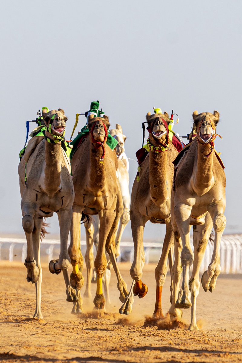 Photo by <a href="/rasheedalbgiq1/">رشيد البغيق</a>  #SaudiArabia