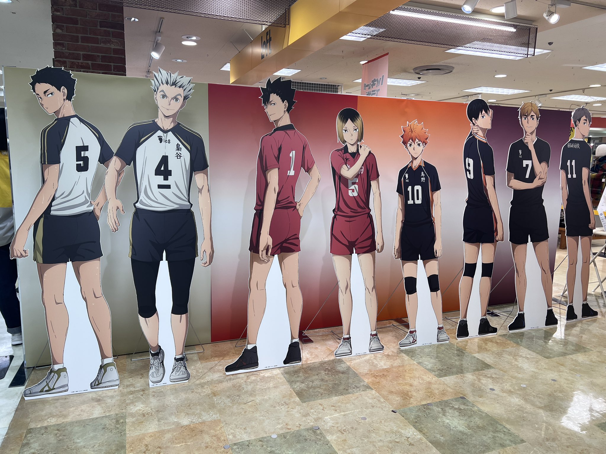 ナ*ツ様 ハイキュー（10-28.31-45）+他 ナ*ツ様 ハイキュー（10-28.31-45）+他 WEB Special Edition