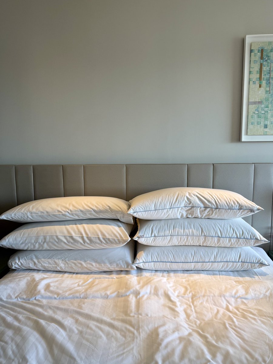 PillowLuver tweet media