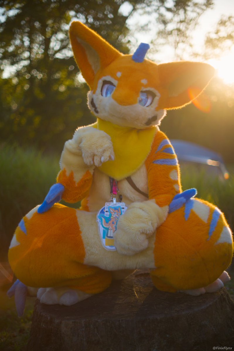 yellyXP's tweet image. WPAFW begins on #FursuitFriday 

📷: @FinixFlynx