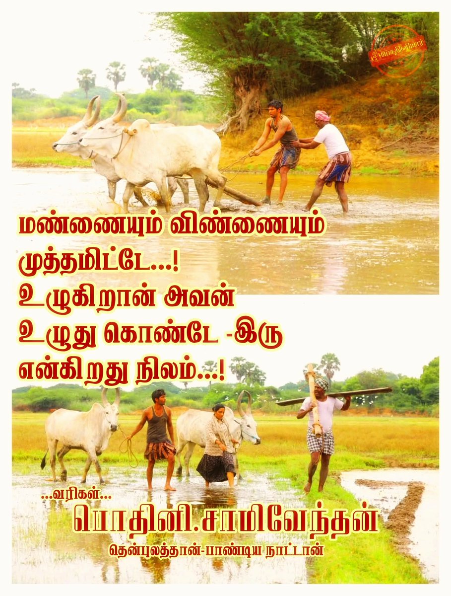 மண்ணையும் விண்ணையும் 
முத்தமிட்டே...!
உழுகிறான் அவன் 
உழுது கொண்டே -இரு
என்கிறது நிலம்...!
                  -பொதினி.சாமிவேந்தன்
தென்புலத்தார்-பாண்டிய நாட்டான்🐘
🎏🌾🐅☯️🚩
__________________