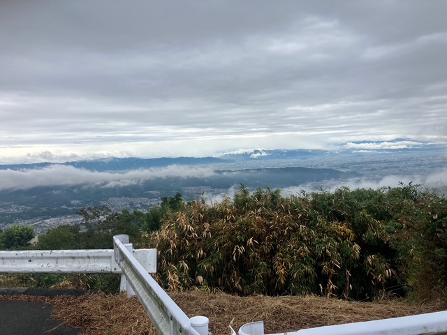 エルカミノ筑駒コーステキスト2025年度版 Amazon.co.jp: 明治大学付属中野中学校 2025年度用 5年間（＋3