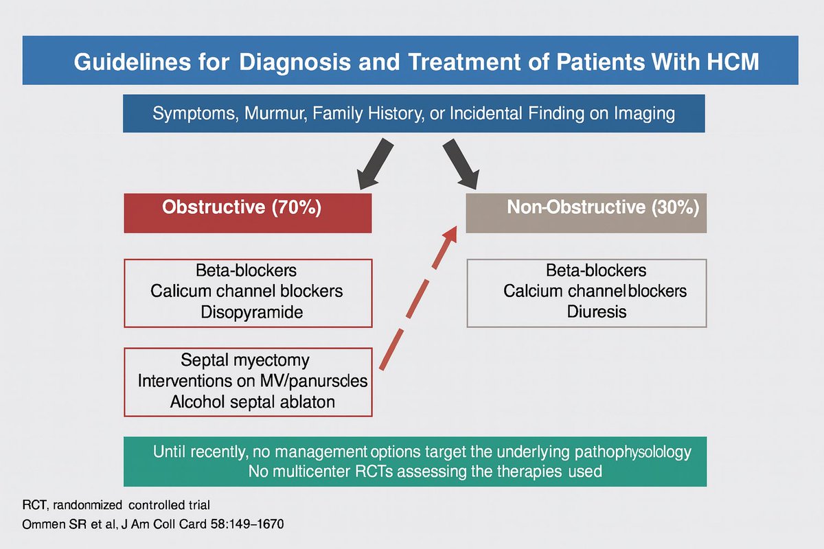 Bgheyath's tweet image. Dr Hani Sabour highlighting treatment options for patients with hypertrophic cardiomyopathy 💡 We’ve moved from symptom relief to targeted therapies—a paradigm shift in HCM care. #CardioTwitter #ACCMidEast @ACCinTouch