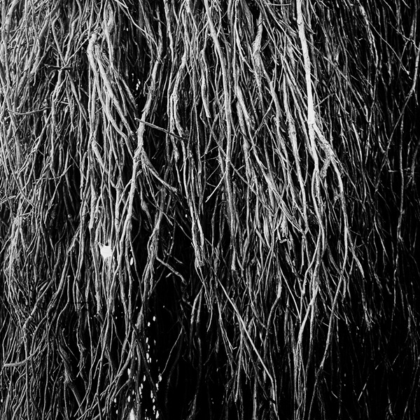 jungleexotica's tweet image. 日本ノイズ界の巨匠、Merzbow、ブラジルを代表するドラマー兼プロデューサー、Iggor Cavalera、イタリアのギタリスト兼サウンドデザイナー、Eraldo Bernocchiによる初のコラボレーション作品！
#merzbow #メルツバウ #ヴァイナル #福岡レコード屋 #fukuoka

jungle-exotica.com/products/detai…