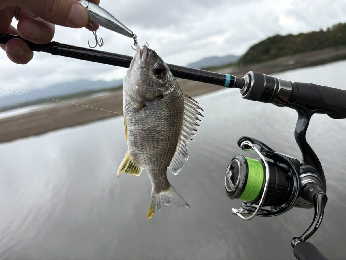 Hiro_MHworks's tweet photo. トップゲーム最高。
小さい魚もアグレッシブに当たってくる。
#SOGAINY
#Shinkirow
#MonsterKiss
#NW99
#LUCKオリカラ https://t.co/8glqZe9Q5T