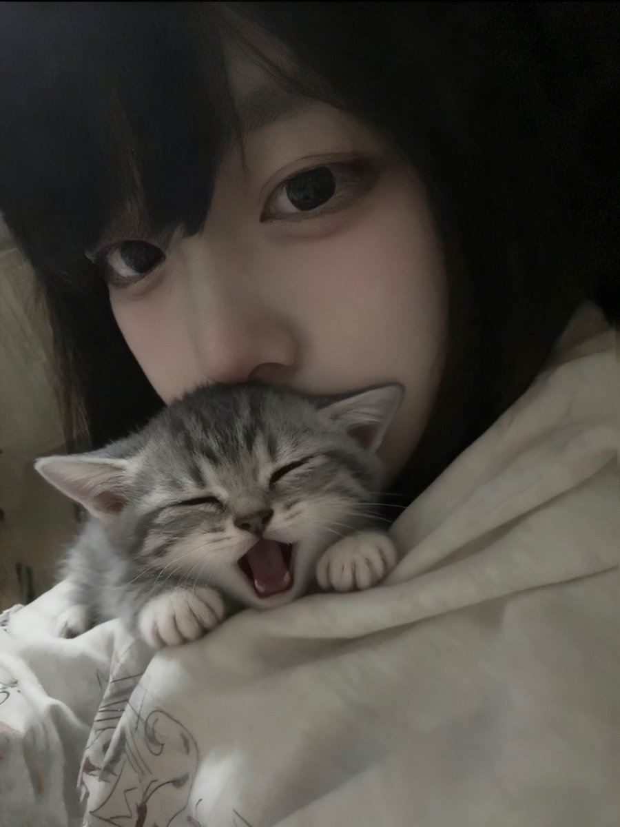 不要跟我说话 tweet media