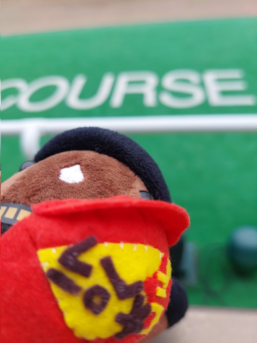 titlelove_1225's tweet image. オ「オレの和生はいつ勝って、オレにサインするんだ？」
#ベラジオオペラ
#競馬ぬい撮り
