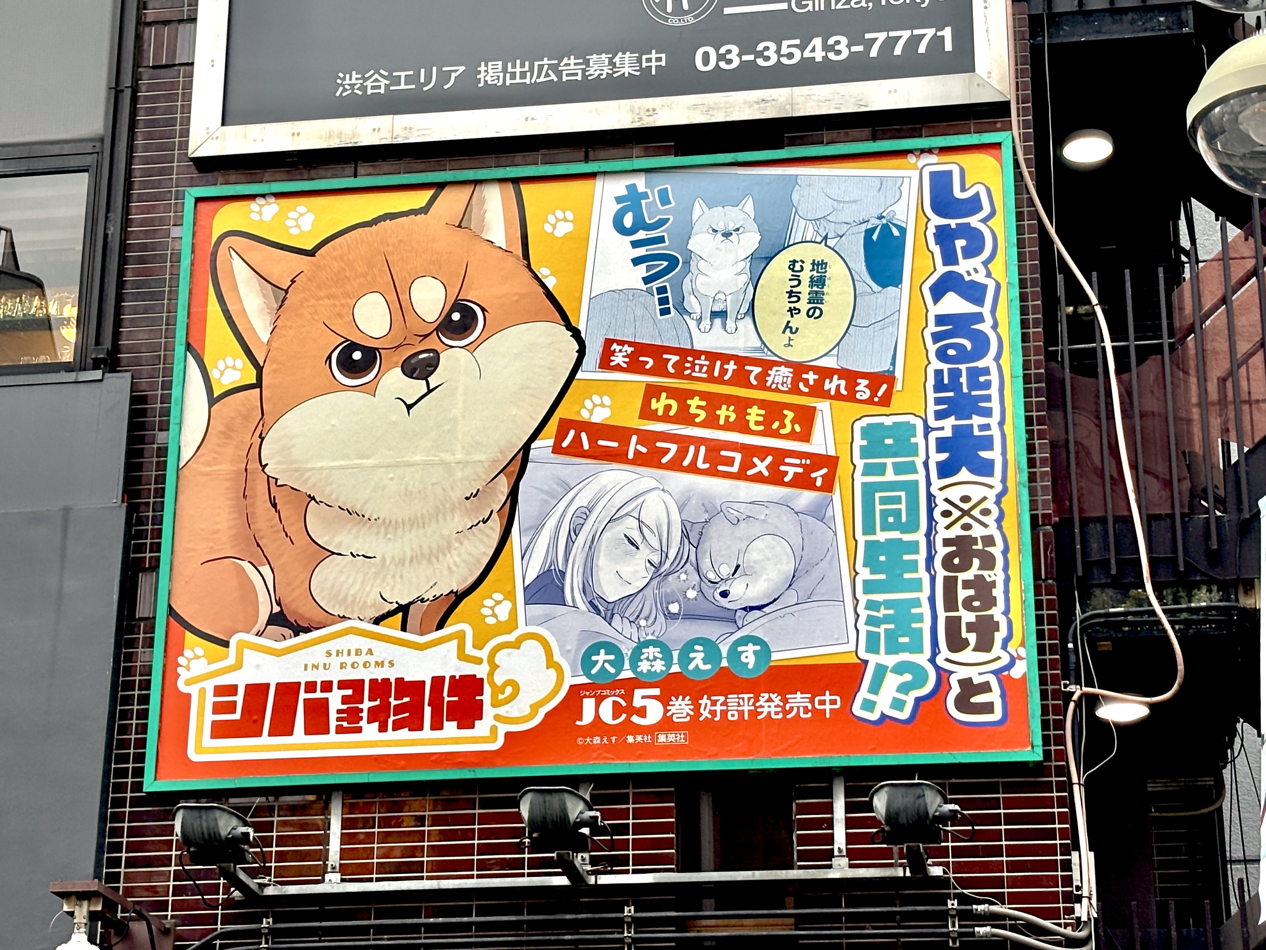 少年ジャンプ 週刊少年ジャンプ 2021年11/15号 (発売日2021年11月01日) | 雑誌