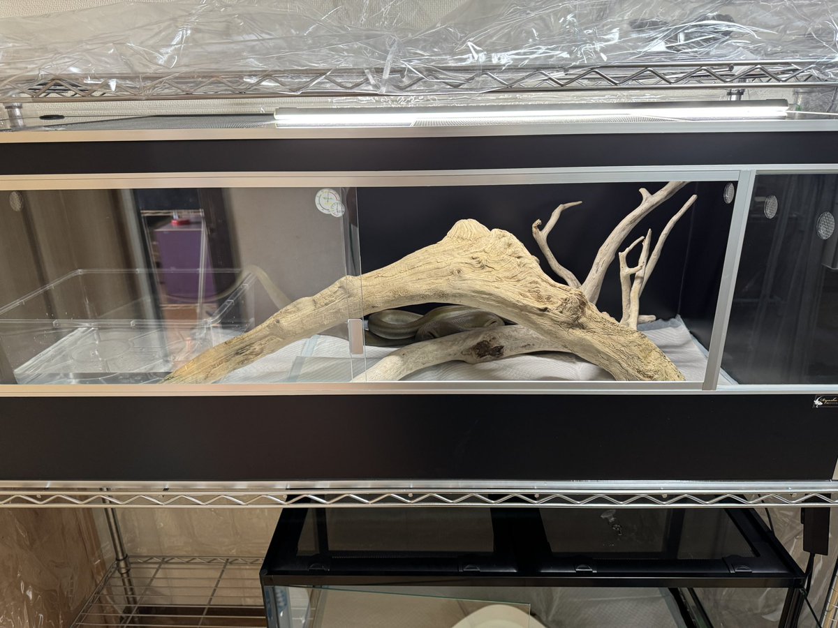 ken 龍匠ケージ 龍匠オリジナルオーダーケージ®︎ on X