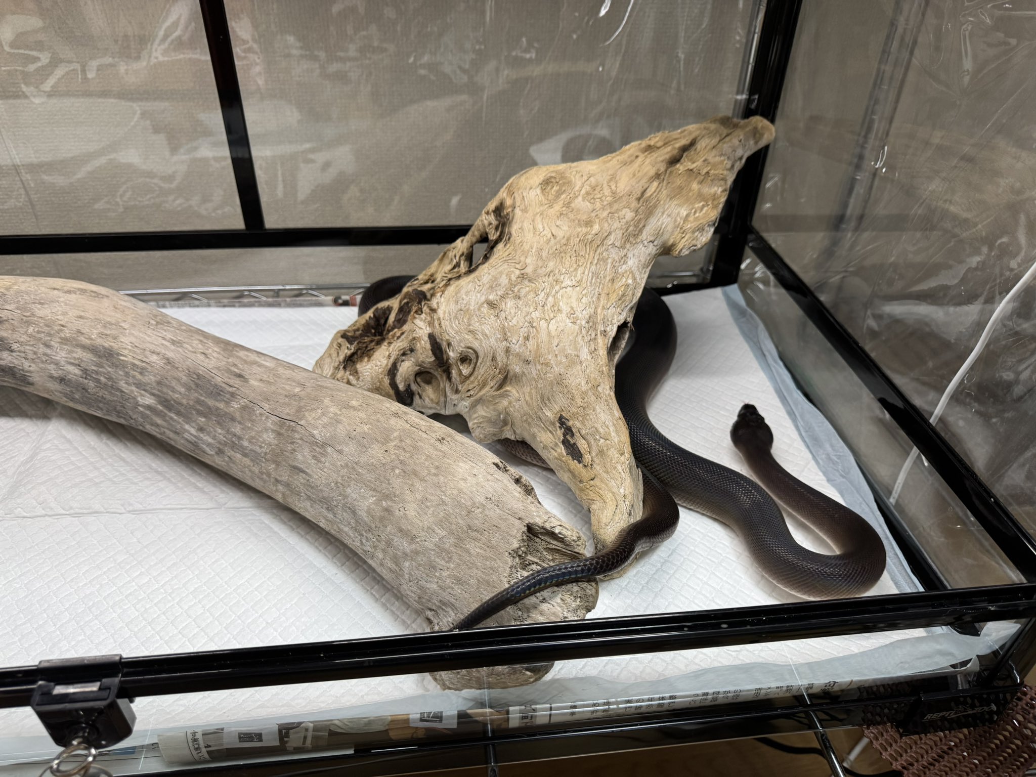 龍匠ケージ　120*45*45引き取り限定 龍匠ケージ 120*45*45引き取り限定 龍匠ケージ 120*45