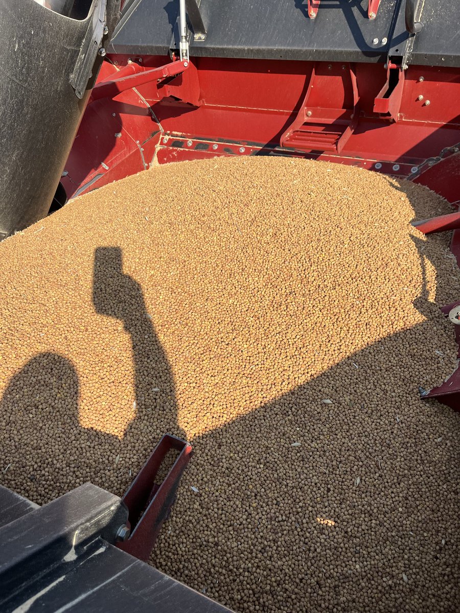 Craig Harrison tweet media