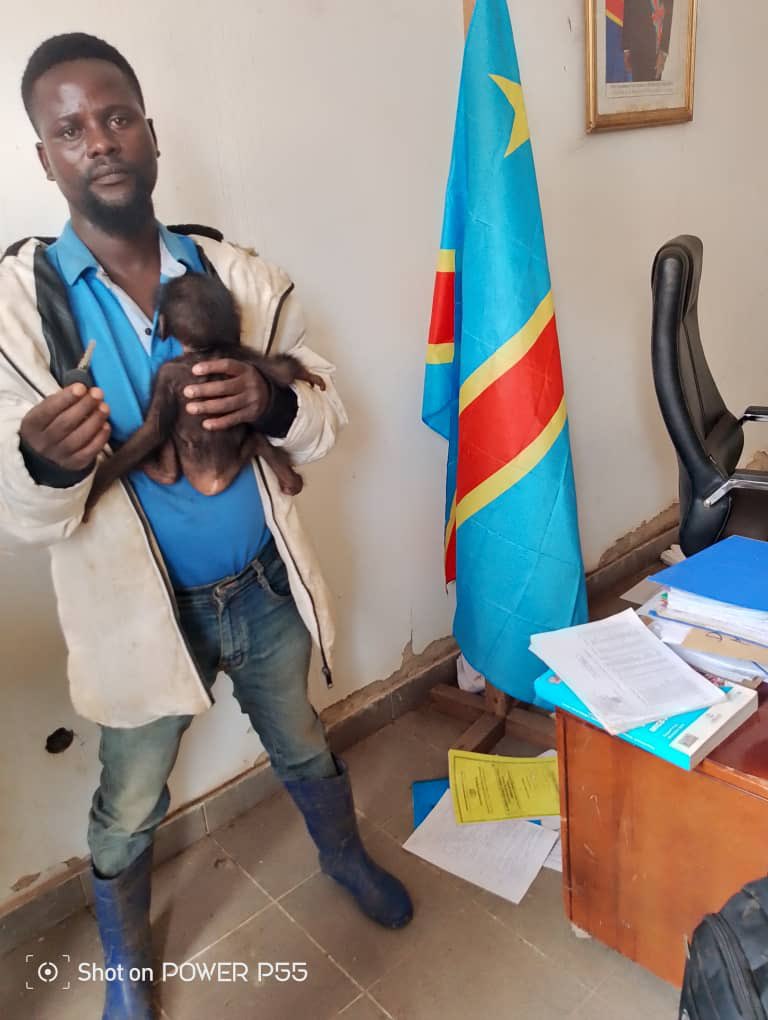 Conserv Congo tweet media