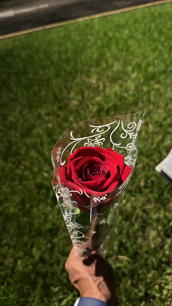 SigueATomas's tweet photo. Hoy me regalaron una rosa 🥹🌹❤️‍🩹 https://t.co/EdQQvUut4n