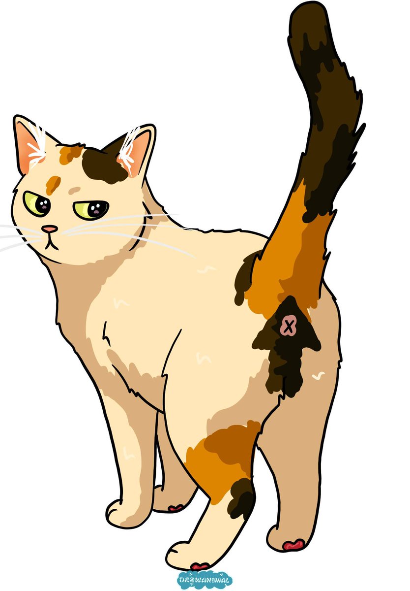 Drewanimal1's tweet photo. Mood: when you're asked to be more open, but you take it too literally.
#anime #furryanimation #furryoc #comic #cat #AnimeArt #pic #art #animal #sketchbook #artbots #meme #Memes https://t.co/k3nN5mf4Ix