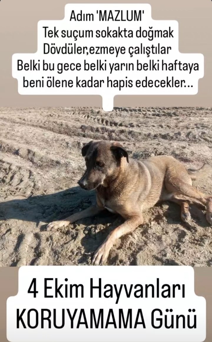 alilevent's tweet photo. https://t.co/QJsmL8Dcjz