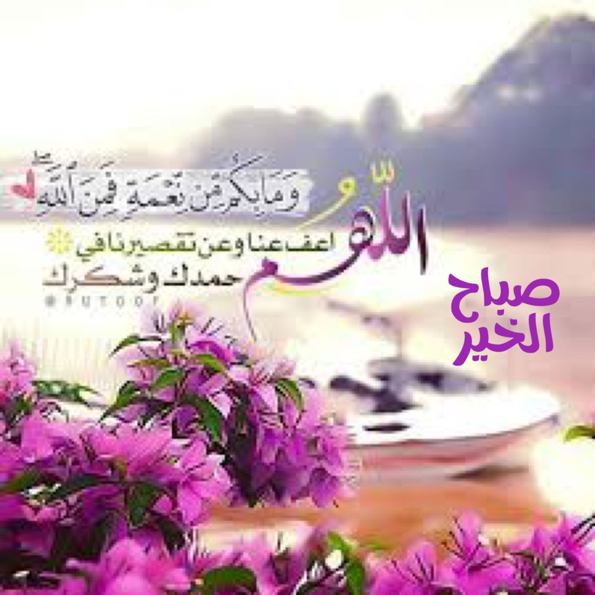 21_dareen's tweet photo. 🕊️🕊️🕊️ https://t.co/yERTOK41X2
