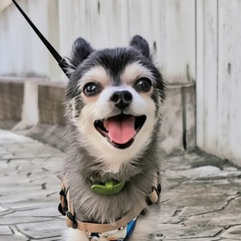 remakoshark's tweet photo. #新しいプロフィール画像 https://t.co/k9Jsl9XBih