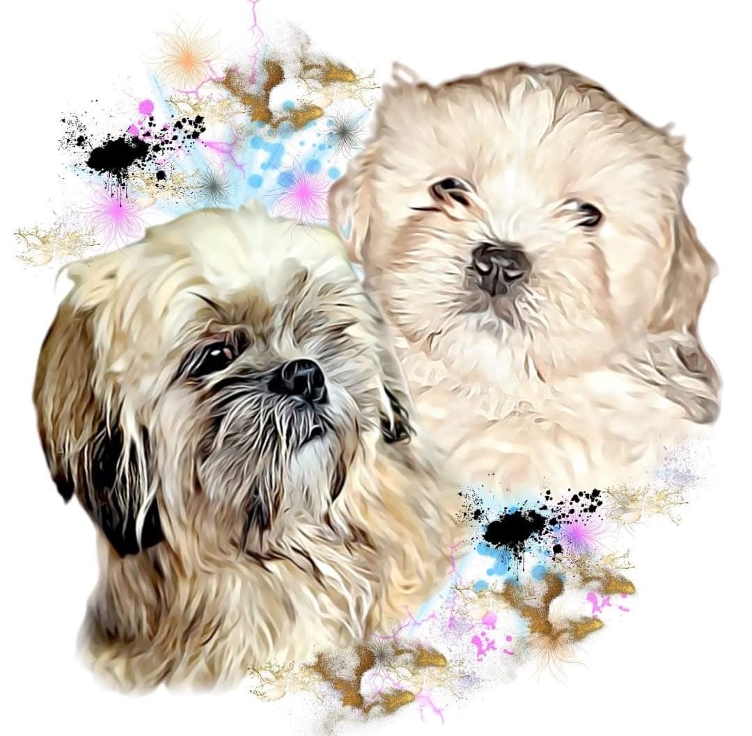 Fijne dierendag 🐶🐾