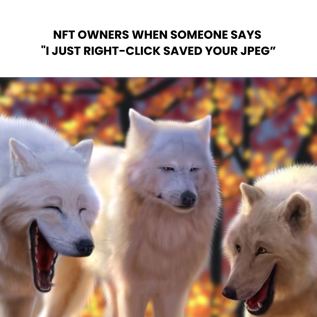 MauritsVault's tweet image. Go ahead, bro. I&apos;ll be in the token-gated Discord with the rest of the verified owners. NGMI.

#NFT #NFTCommunity #RightClickSave #Web3 #NGMI