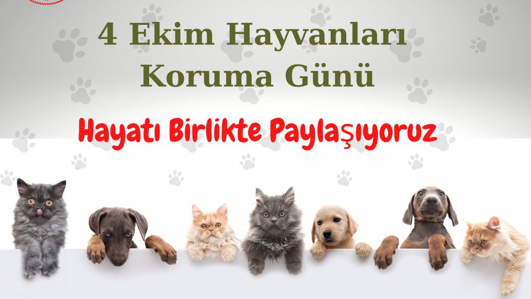 Hayvanların katledildiği, soykırıma uğradığı, öldürenlerin hükumet eliyle cezasız bırakıldığı bir dönemde #4Ekim kutlanmaz.‼️
#Kutlamıyoruz #YaşamHakkıKutsaldır