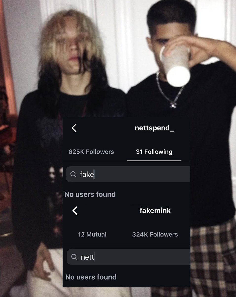 Fans believe Fakemink is calling out Nettspend after the two
