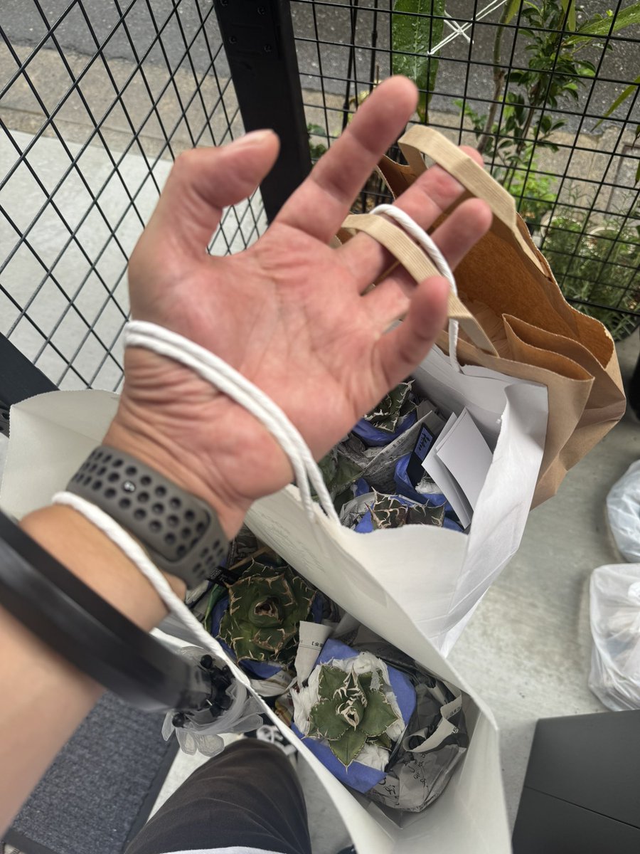 hakase883's tweet photo. 初のPLANET ROCK PLANTS🪴

無傷ですまなかった(^◇^;)💦

ガッツリいってしまったwww🤣 https://t.co/wPlfauZTuS