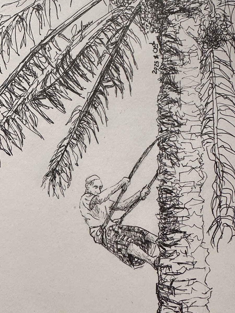 ٣ أكتوبر | نخلة 🌴