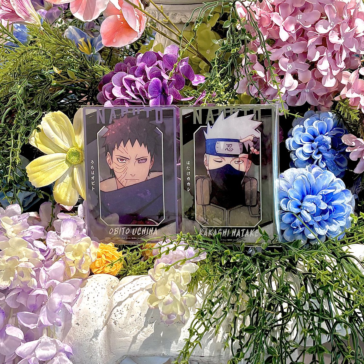 haodemyd's tweet photo. https://t.co/L10DP9BXO9