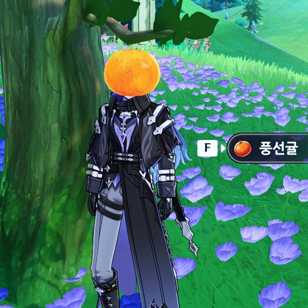 sp_gnsn's tweet image. 귤지기