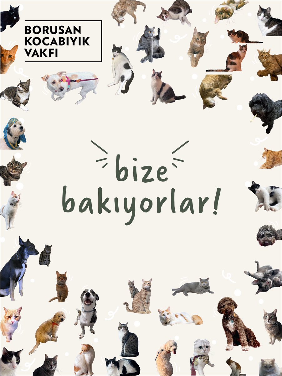 Biz onlara, onlar bize bakıyorlar. Güvenle, varlıklarıyla ve hayatımıza kattıkları sevgiyle bize bakıyorlar. Biz de onlara bakıyoruz; koruyarak, sahiplenerek ve yaşamı onlarla paylaşarak.