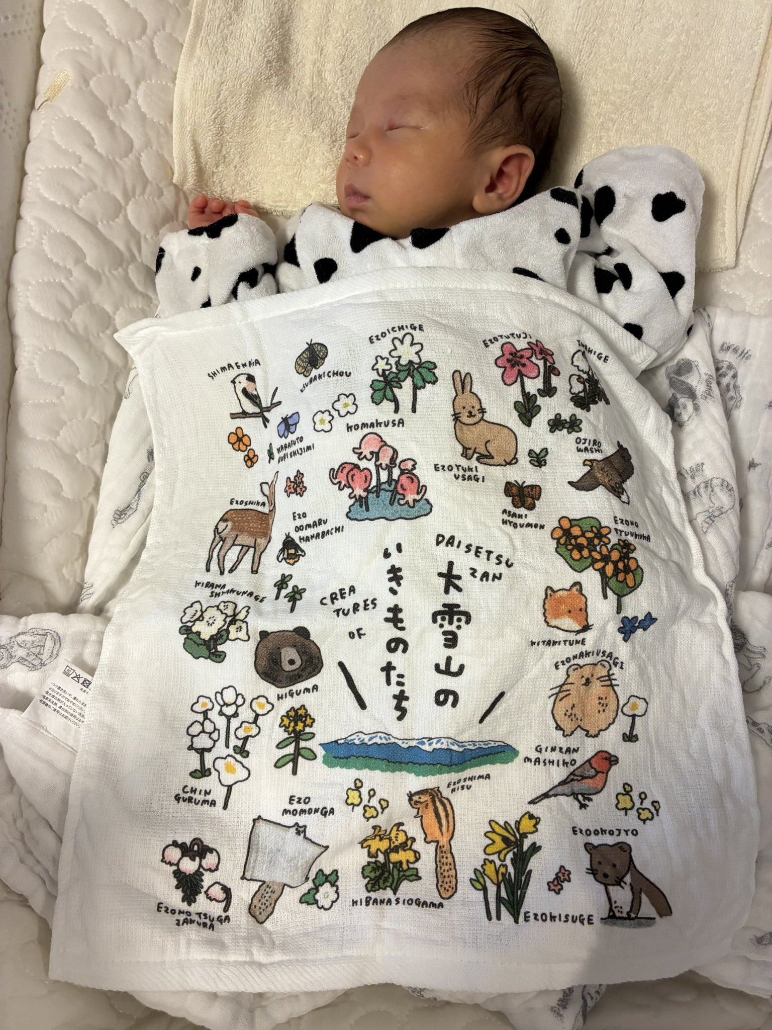 jacky さま Kawasaki Motorcycle 1993 OEM Parts Diagram for Swing Arm