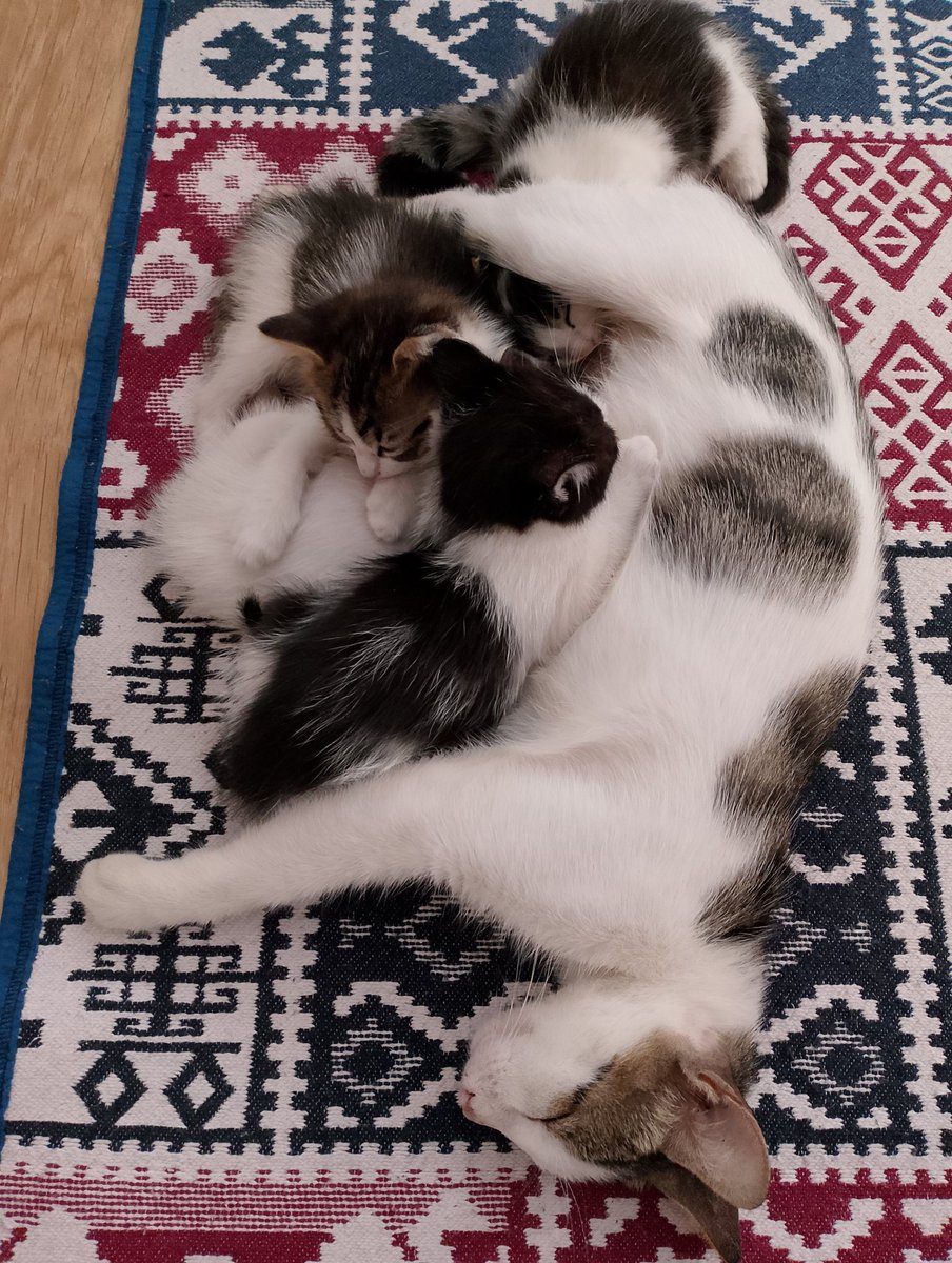 Günaydın sabah güzellikleri ❤