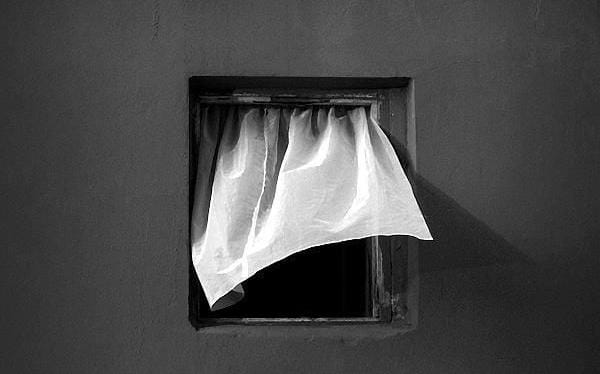 Penceresi çamur olana, dünyanın tüm çiçekleri kirli gözükür⚡