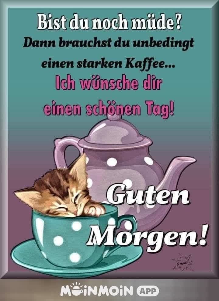Guten Morgen meine Lieben ❤️👍🍩