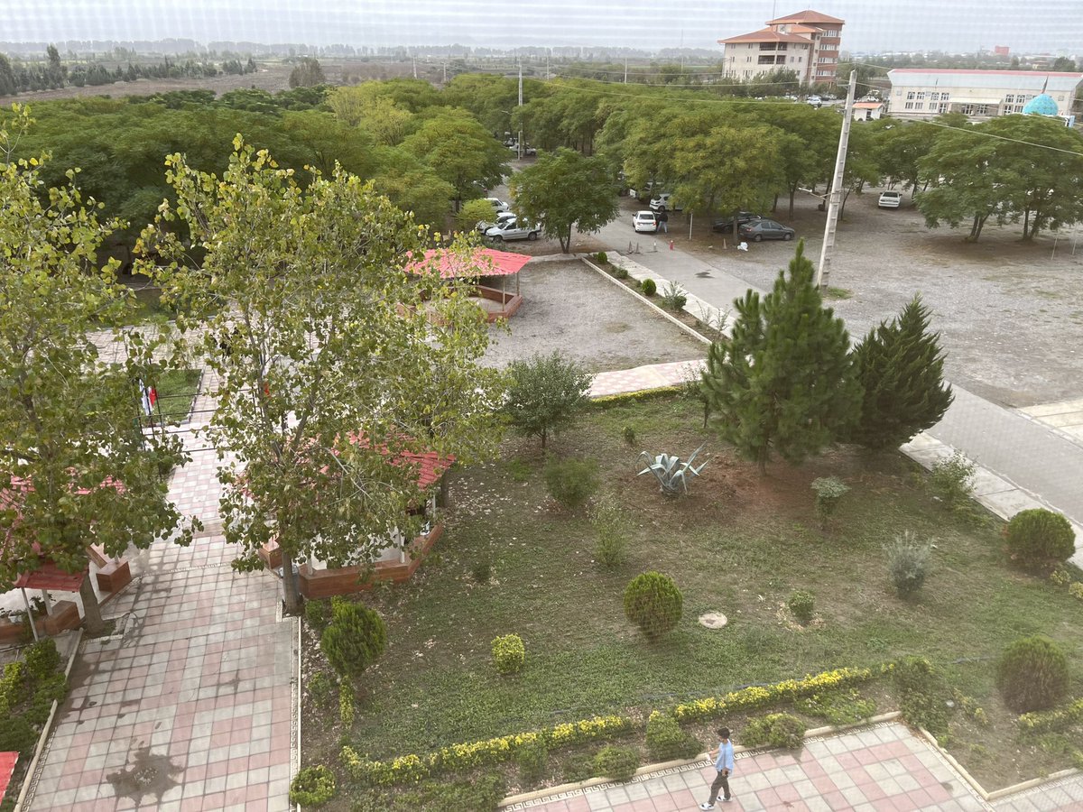 appleandorangee's tweet image. درخت های دانشکده سبز مایل به زرد شدن و این یعنی پاییز.
#autumnmood