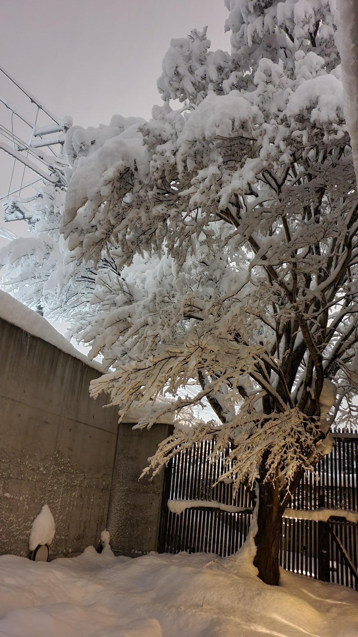 くにお＠70STORMCRAFT 風雲工房 on X: 