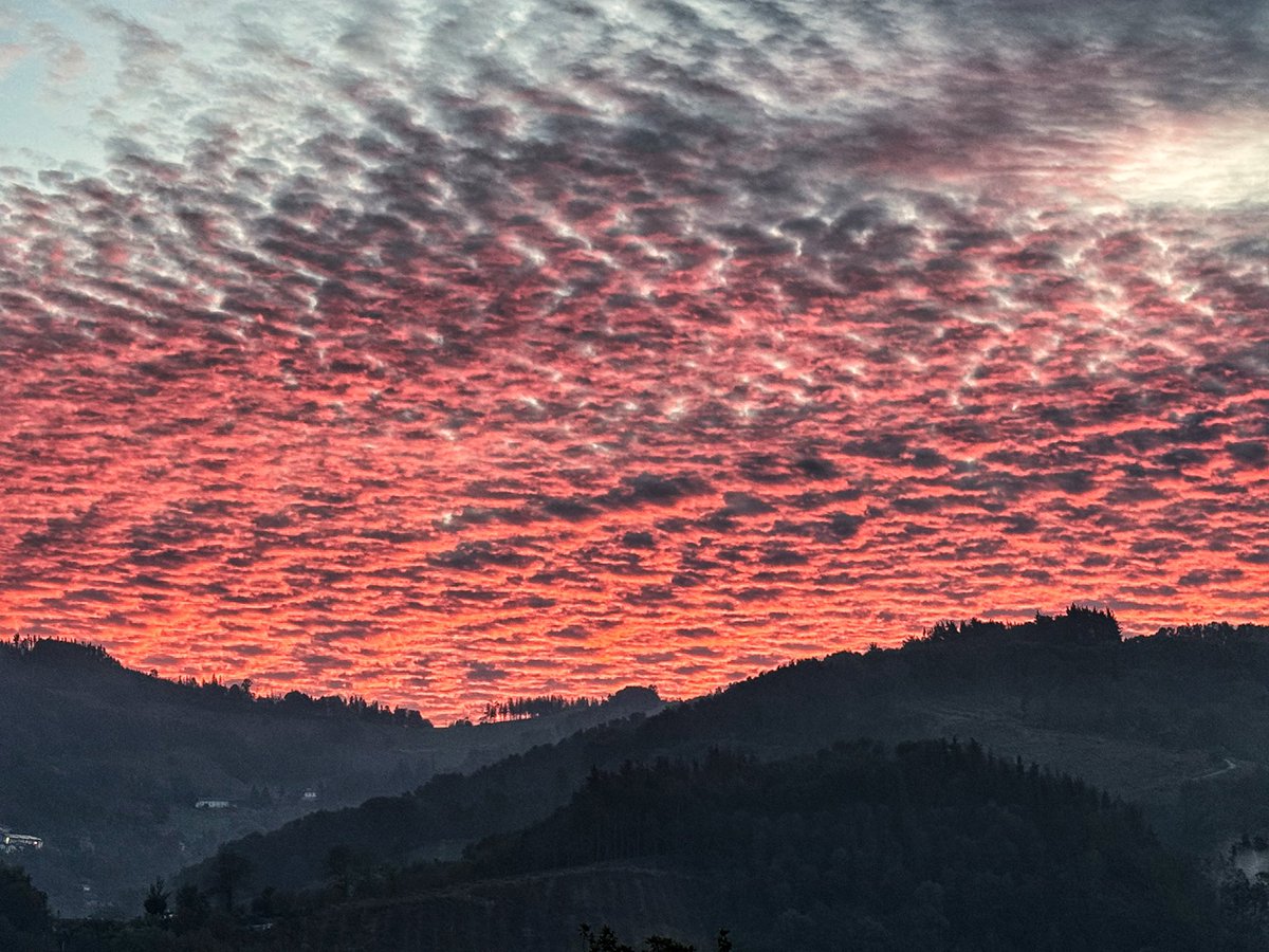 Uhmmmmm gaurko egunsentie…
Egun polit bat egin dezazuela.