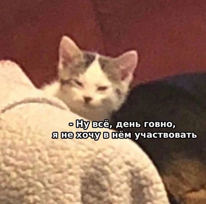 <a href="/KOKOCOB_TYT_HET/">𝓂𝒾𝓃𝒹 𝒻𝓁𝒶𝓎𝑒𝓇🥥</a>