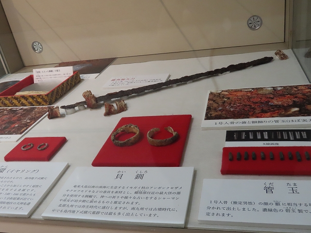 企画展『島内139号地下式横穴墓出土品展～保存処理した遺物の公開Part10～』を開催しております。期間は10月4日(土)～12月14日(日)迄です。1500年の時を経て現世へと出てきた大量の武具や武器・馬具等島内武人の活躍を想像できる展示です。是非ご覧ください。 #島内地下式横穴墓 #遺物 #古墳