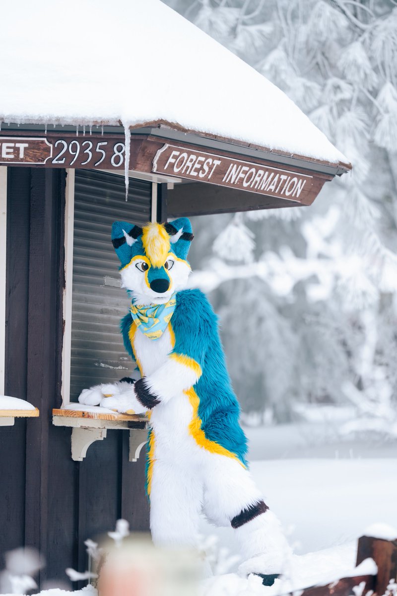 Danno 🔜 LVFC, AC, MP???, AFC (@dannodoggo) on Twitter photo I am so excited for it to start getting colder again! Happy #FursuitFriday
📸 <a href="/_CrowCreations_/">Crow Creations Fur-tography! 🔜 ANW+FC+NFC+TFF+..!</a> I am so excited for it to start getting colder again! Happy #FursuitFriday
📸 <a href="/_CrowCreations_/">Crow Creations Fur-tography! 🔜 ANW+FC+NFC+TFF+..!</a>