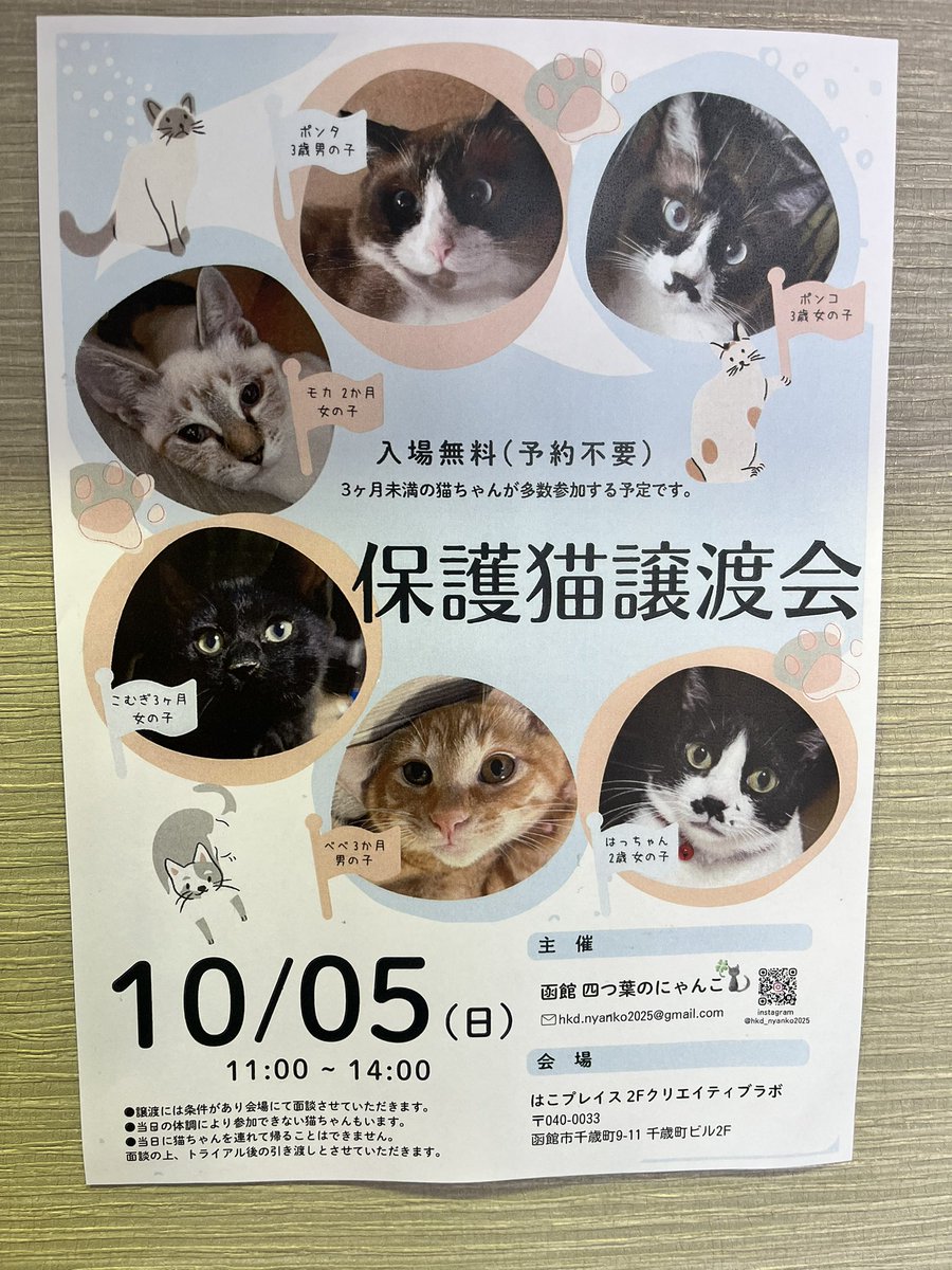 hakoplace2024's tweet photo. こんにちは！　#はこプレイス です。

明日10/5、11:00〜14:00まで、2階クリエイティブラボで「函館 四つ葉のにゃんこ」 @hkd_nyanko2025 さまによる、保護猫譲渡会が開催されます。

良き出会いがありますように。 https://t.co/s2PE4VUiBK